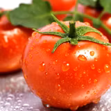 Tomato Wallpapers