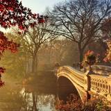 Autumn 2017 Wallpapers