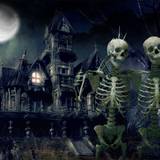 Halloween Skeletons Wallpapers