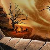 Halloween Spiders Wallpapers