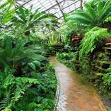 Botanical Wallpapers