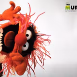 The Muppets Wallpapers