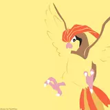 Pidgeotto HD Wallpapers