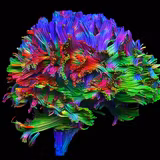 Neurology Wallpapers