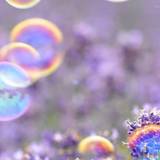 Spring 2020 HD Wallpapers