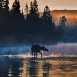 Isle Royale National Park Wallpapers