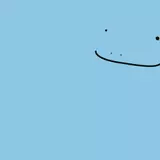 Quagsire HD Wallpapers