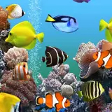Aquarium Wallpapers