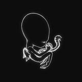 Sigur Rós Wallpapers