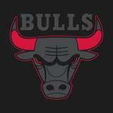 Chicago Bulls Wallpaper Free