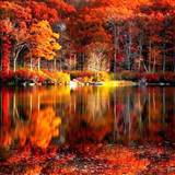 Fall Colors Reflection Wallpapers