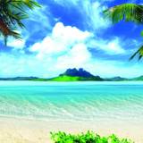 Summer Vacations Wallpapers