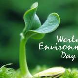 World Environment Day Wallpapers