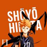 Hinata Shōyō Wallpapers