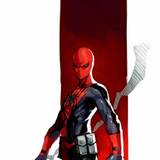 Assassin Spider-Man Wallpapers