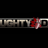 Naughty Dog Wallpapers