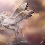 Alicorn Wallpapers
