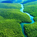 Amazon River Wallpapers