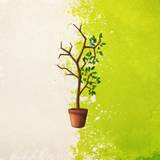 Minimalist Spring Wallpapers