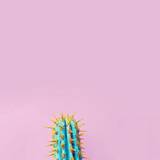 Cactus Wallpapers