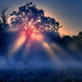 Mystic Wallpapers