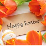 Easter 2019 Wallpapers