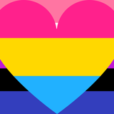 Genderfluid Pansexual Combo Pride Flag – Pride Nation
