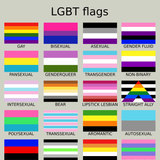 LGBT pride flags: gay, bisexual, asexual, gender fluid, pansexual