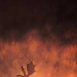 Game Of Thrones Phone Wallpapers