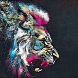 Lion Color Wallpapers