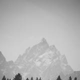 Black And White Phone Wallpapers