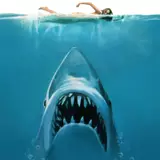 Jaws Wallpapers