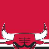 Chicago Bulls Logo Mobile Wallpapers