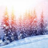 Winter 2020 Wallpapers