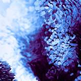 Samsung Galaxy S20 Wallpapers