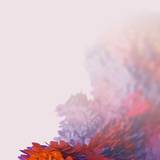 Samsung Galaxy S20 Ultra Wallpapers