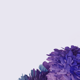 Samsung Galaxy S20 Ultra Phone Wallpapers
