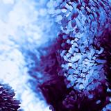 Galaxy S20 Ultra Wallpapers