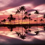 Hawaiian Sunsets On The Beach Wallpapers