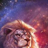 Lion Tattoo Wallpapers