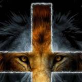 Lion Of The Tribe Of Judah Wallpapers