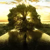 The Tree Of Life Wallpapers