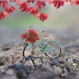 Cute DP Wallpapers