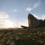 Pride Rock Wallpapers