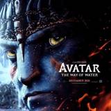 Avatar 2 The Way of Water wallpapers