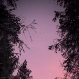 1440x3200 Wallpapers