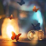 DP Instagram Wallpapers