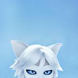 White Cat Noir Wallpapers