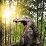 Suchomimus Wallpapers