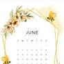 June 2024 calendar wallpapers